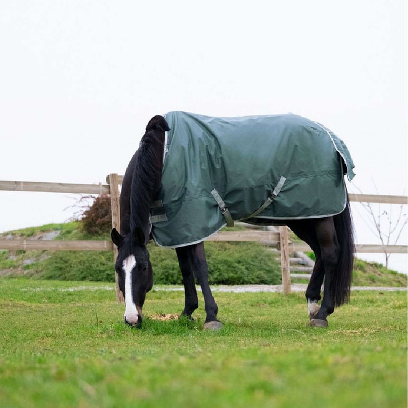 EQUITHÈME Outdoor Rug Tyrex 600D 300g Recycled Green EQUITHÈME Outdoor Rug Tyrex 600D 300g Recycled Green