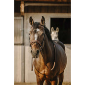 Eric Thomas Bridle Work Havana Eric Thomas Bridle Work Havana