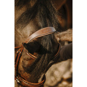 Eric Thomas Bridle Work Havana Eric Thomas Bridle Work Havana