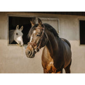 Eric Thomas Bridle Crown Havana Eric Thomas Bridle Crown Havana