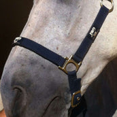 Animaderm Care Cream Cutene Animaderm Care Cream Cutene