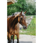 Norton Bridle Freedom Havana Norton Bridle Freedom Havana