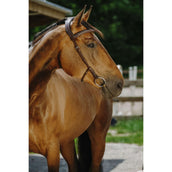 Norton Bridle Freedom Havana Norton Bridle Freedom Havana