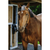 Norton Bridle Freedom Havana Norton Bridle Freedom Havana