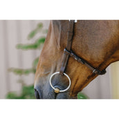 Norton Bridle Freedom Havana Norton Bridle Freedom Havana