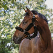 Norton Halter Full Synthetic Sheepskin Black Norton Halter Full Synthetic Sheepskin Black