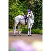 Equestrian Stockholm Leg Protectors Classic Mesh Lavender Equestrian Stockholm Leg Protectors Classic Mesh Lavender