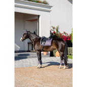 Equestrian Stockholm Leg Protectors Classic Mesh Dark Violet Equestrian Stockholm Leg Protectors Classic Mesh Dark Violet