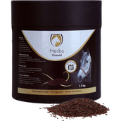 Excellent Psyllium Husk Herbs Excellent Psyllium Husk Herbs