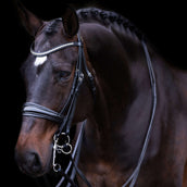 Imperial Riding Double Bridle IRHFria Black Imperial Riding Double Bridle IRHFria Black