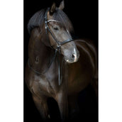 Catago Throat Lash Gentle with Buckles Black Catago Throat Lash Gentle with Buckles Black