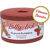 Animalixs Lick Stone LollyLick Vitamin Booster Rosehip Animalixs Lick Stone LollyLick Vitamin Booster Rosehip