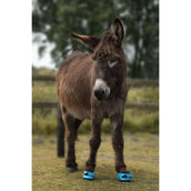 F.R.A. Cavallo Donkey/Long Ear Boot Turquoise F.R.A. Cavallo Donkey/Long Ear Boot Turquoise