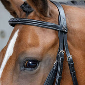 Harry's Horse Mexican Bridle Anatomic Black Harry's Horse Mexican Bridle Anatomic Black