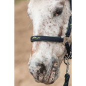 Harry's Horse Head Collar Set STOUT! Lime Navy Harry's Horse Head Collar Set STOUT! Lime Navy