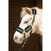 Harry's Horse Head Collar Set STOUT! Soft Lime Army Green Harry's Horse Head Collar Set STOUT! Soft Lime Army Green