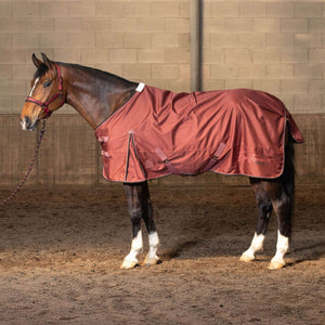 Harry's Horse Rain Rug Thor WI25 Fleece 0gr Spiced Apple Harry's Horse Rain Rug Thor WI25 Fleece 0gr Spiced Apple