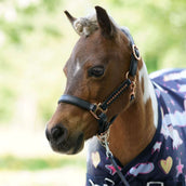 HB Harry & Hector Outdoor Rug 200g Unicorn Dream HB Harry & Hector Outdoor Rug 200g Unicorn Dream