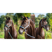 HB Halter Showtime Pioneer Black HB Halter Showtime Pioneer Black