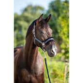 HB Halter Showtime Pioneer Black HB Halter Showtime Pioneer Black