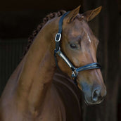 HB Showtime Halter Lorenzo Leather Black HB Showtime Halter Lorenzo Leather Black