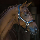 HB Showtime Halter Lorenzo Leather Black HB Showtime Halter Lorenzo Leather Black