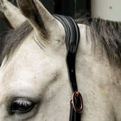 HB Showtime Halter Anatomic Black HB Showtime Halter Anatomic Black