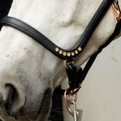 HB Showtime Halter Anatomic Black HB Showtime Halter Anatomic Black