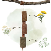 Herbie Herbal Wooden Toy Calm Herbie Herbal Wooden Toy Calm