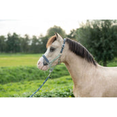 HKM Halter Barnie Light Green/Dark Green HKM Halter Barnie Light Green/Dark Green