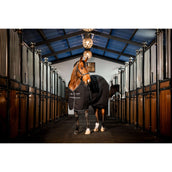 Rambo Stable Rug 400g Black/Thunderstorm Grey/Silver Rambo Stable Rug 400g Black/Thunderstorm Grey/Silver