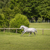 Rambo Optimo Protector Plus Silver/Thunderstorm Grey/Silver Rambo Optimo Protector Plus Silver/Thunderstorm Grey/Silver