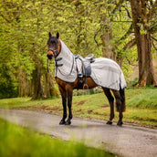 Amigo Flyrider Chalk/Navy Amigo Flyrider Chalk/Navy