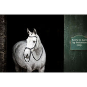 Rambo Micklem Bitless Bridle Black Rambo Micklem Bitless Bridle Black