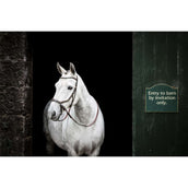 Rambo Micklem Bitless Bridle Brown Rambo Micklem Bitless Bridle Brown