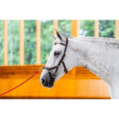 Horseware Micklem Multi Bridle New Dark Havana Horseware Micklem Multi Bridle New Dark Havana