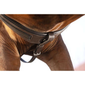 Rambo Micklem Chest Buckle with a Martingale Brown Rambo Micklem Chest Buckle with a Martingale Brown