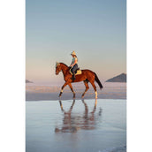 LeMieux Base Layer Classique Short Sleeves Macaron LeMieux Base Layer Classique Short Sleeves Macaron