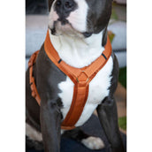 Kentucky Harness Active Velvet Orange Kentucky Harness Active Velvet Orange