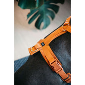 Kentucky Harness Active Velvet Orange Kentucky Harness Active Velvet Orange