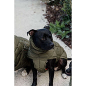 Kentucky Dog Rug Winter Pina 160g Pine Green Kentucky Dog Rug Winter Pina 160g Pine Green