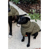 Kentucky Dog Rug Winter Pina 160g Pine Green Kentucky Dog Rug Winter Pina 160g Pine Green