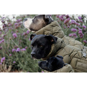 Kentucky Dog Rug Winter Pina 160g Pine Green Kentucky Dog Rug Winter Pina 160g Pine Green