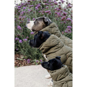 Kentucky Dog Rug Winter Pina 160g Pine Green Kentucky Dog Rug Winter Pina 160g Pine Green