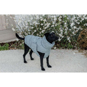 Kentucky Dog Rug Winter Pina 160g Dusty Blue Kentucky Dog Rug Winter Pina 160g Dusty Blue