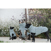 Kentucky Dog Rug Winter Pina 160g Dusty Blue Kentucky Dog Rug Winter Pina 160g Dusty Blue