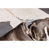 Kentucky Collar Teddy Fleece Old Rose Kentucky Collar Teddy Fleece Old Rose