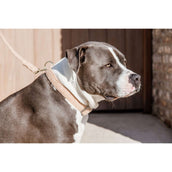 Kentucky Collar Teddy Fleece Old Rose Kentucky Collar Teddy Fleece Old Rose