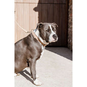 Kentucky Collar Teddy Fleece Old Rose Kentucky Collar Teddy Fleece Old Rose