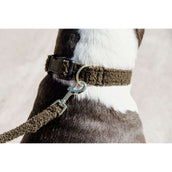 Kentucky Collar Teddy Fleece Pine Green Kentucky Collar Teddy Fleece Pine Green